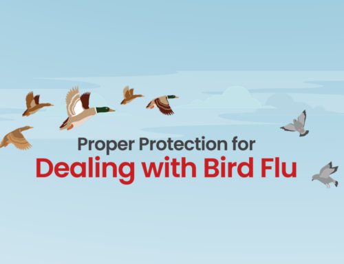 Proper Protection for Dealing with Bird Flu