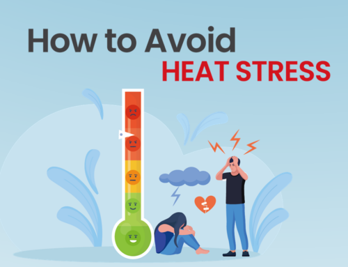 How to Avoid Heatstress