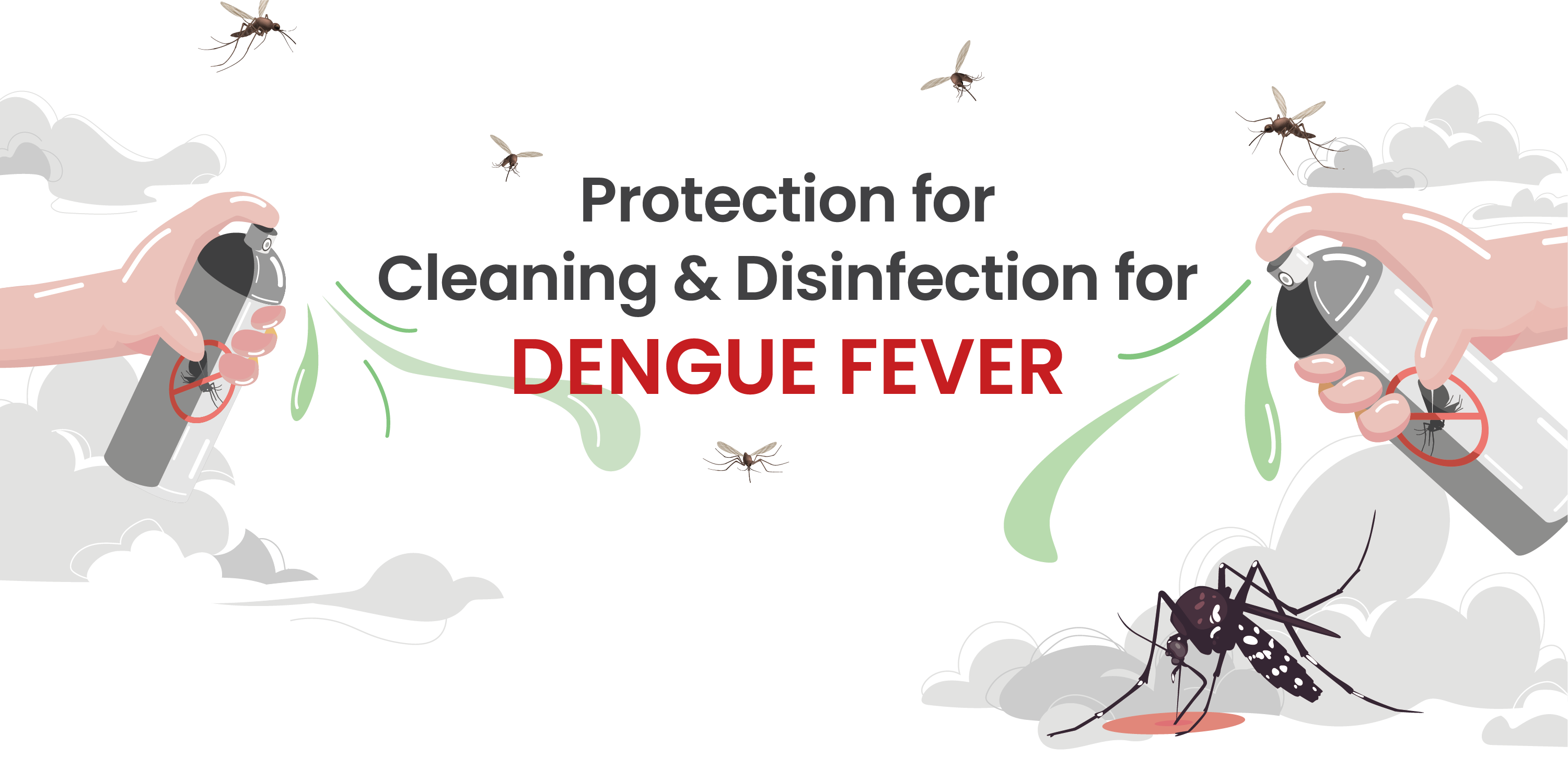 Protection for Cleaning & Disinfection for DENGUE FEVER